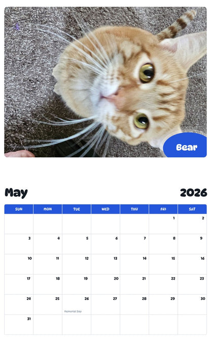 2026 - 2027 Bear - Pawidols Pet Calendar