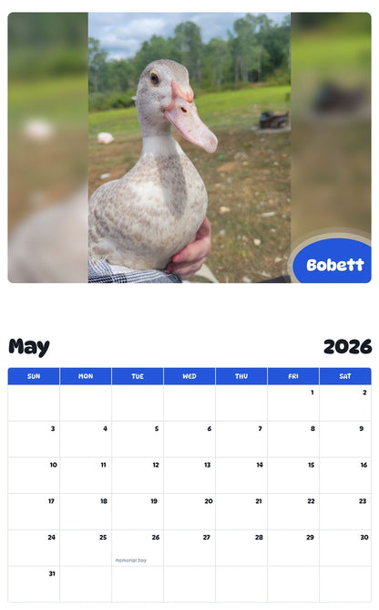 2026 - 2027 Bobett - Pawidols Pet Calendar