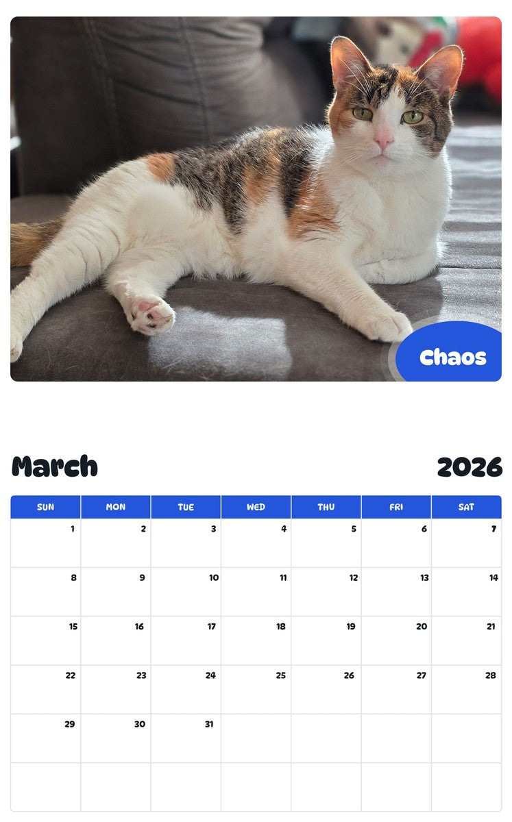 November 2025 - October 2026 Chaos - Pawidols Pet Calendar