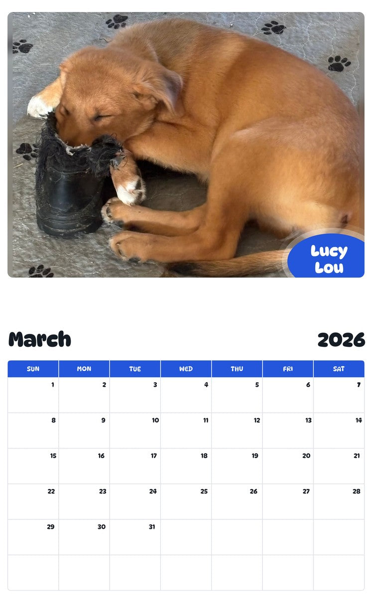 November 2025 - October 2026 Lucy Lou - Pawidols Pet Calendar