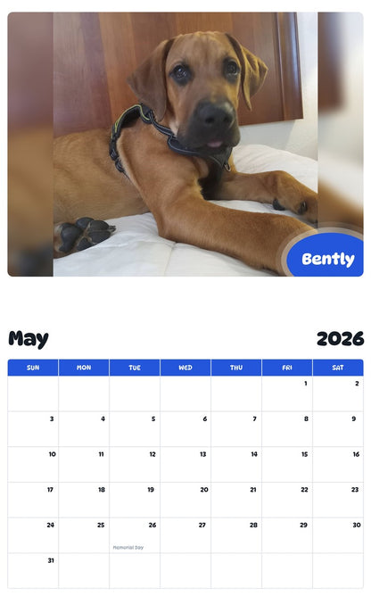 2026 - 2027 Bently - Pawidols Pet Calendar