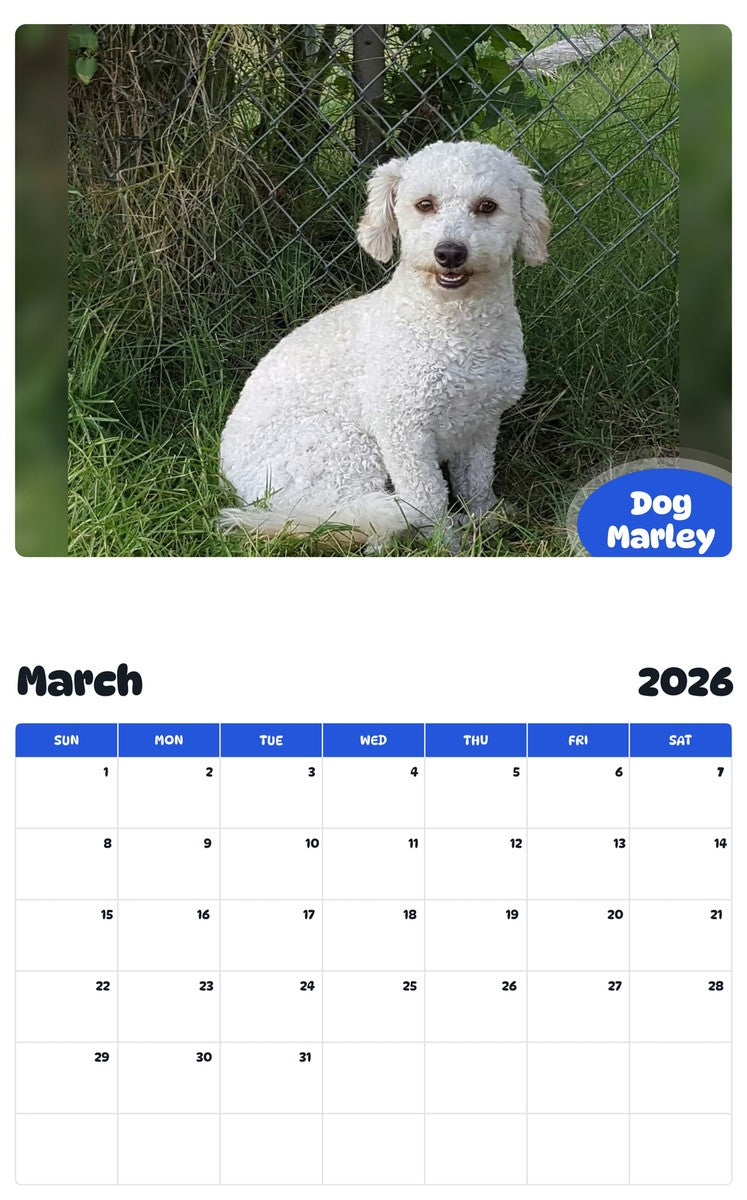 November 2025 - October 2026 Dog Marley - Pawidols Pet Calendar
