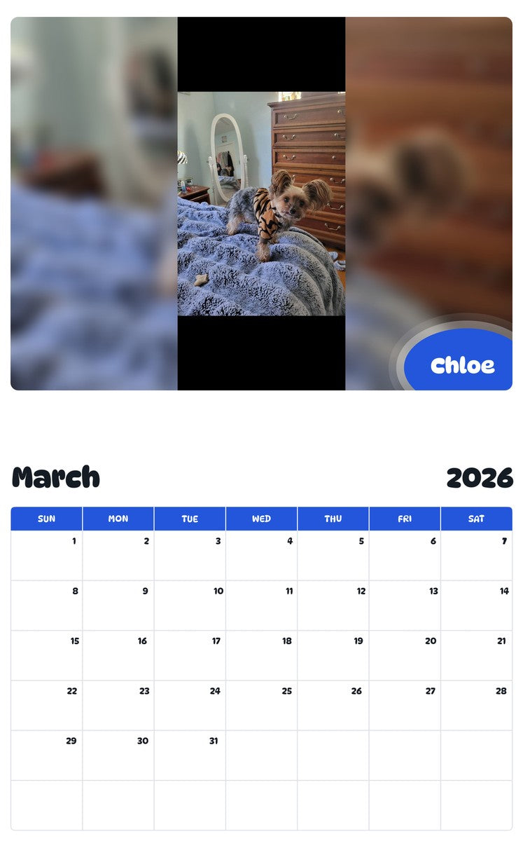 November 2025 - October 2026 Chloe - Pawidols Pet Calendar