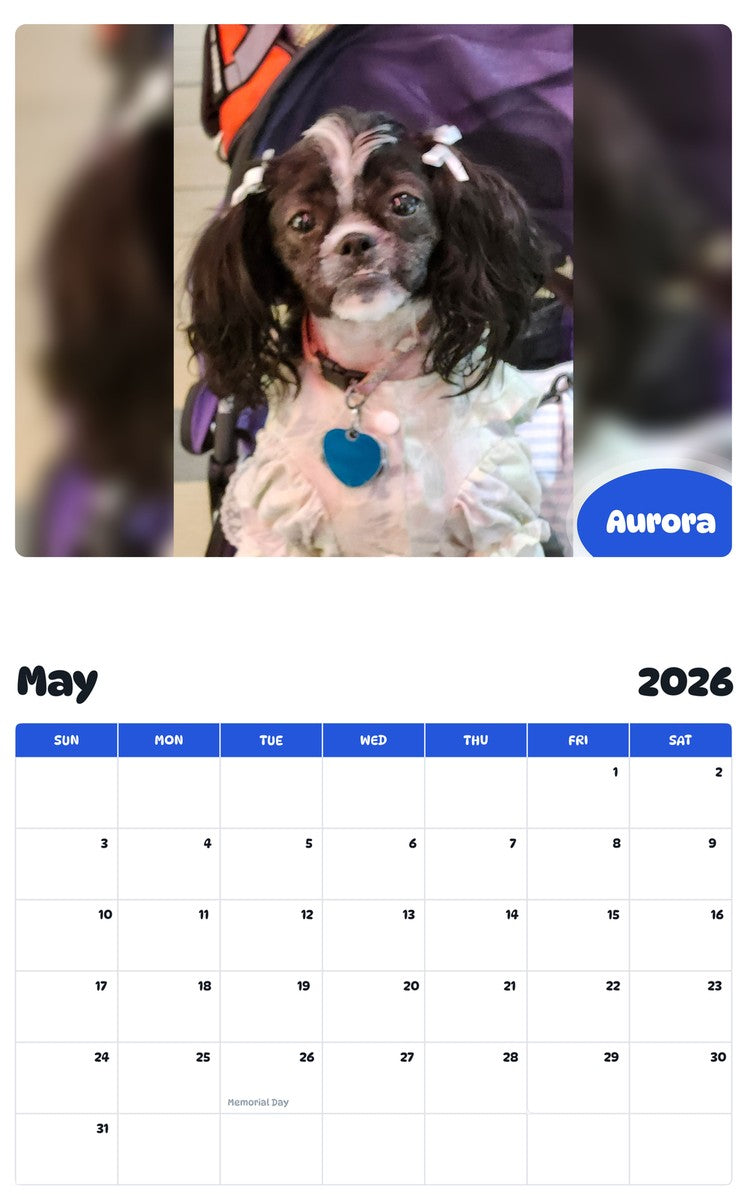 2026 - 2027 Aurora - Pawidols Pet Calendar