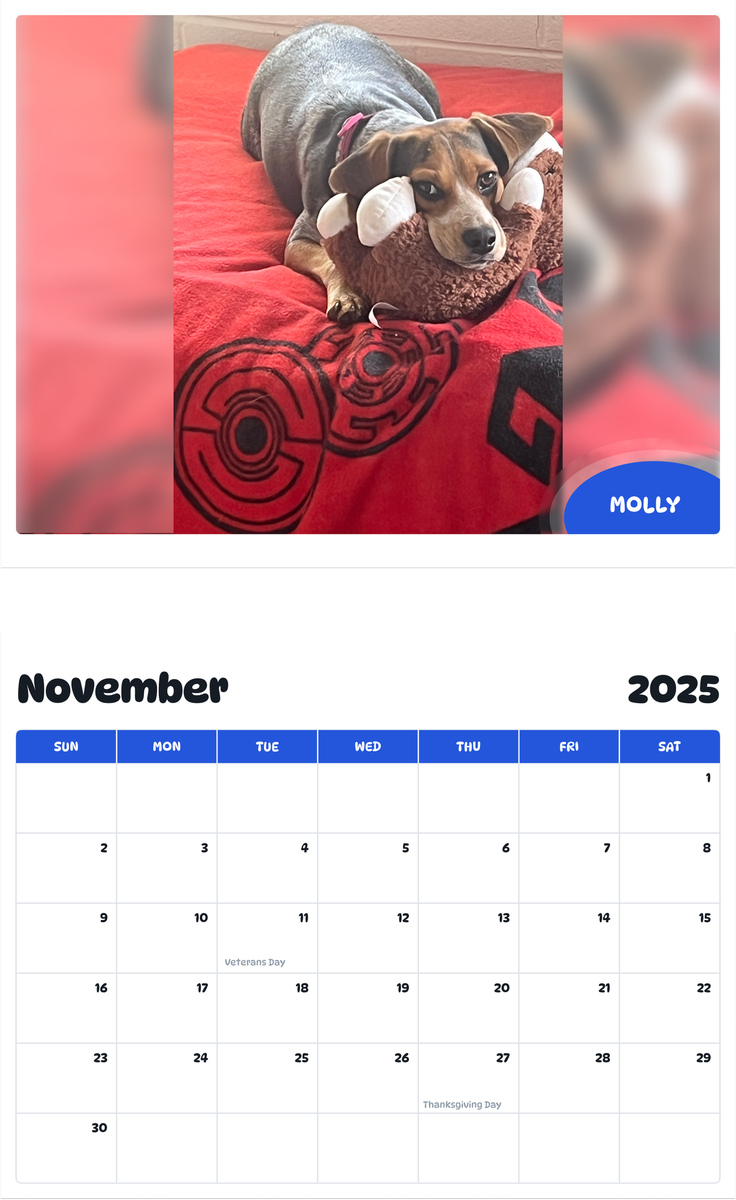 July 2025 - June 2026 Molly - Pawidols Pet Calendar
