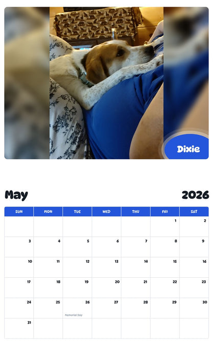 2026 - 2027 Dixie - Pawidols Pet Calendar