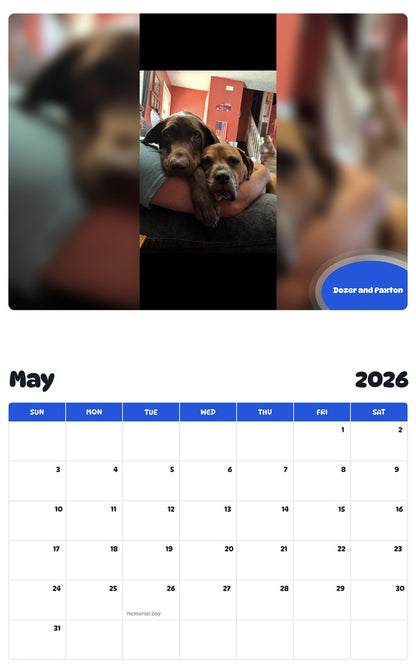2026 - 2027 Dozer and Paxton - Pawidols Pet Calendar