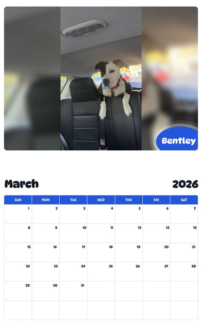November 2025 - October 2026 Bentley - Pawidols Pet Calendar