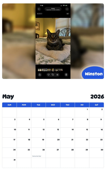2026 - 2027 Winston - Pawidols Pet Calendar
