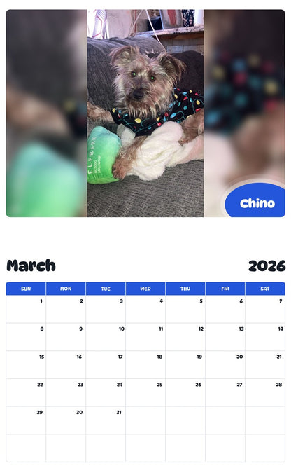November 2025 - October 2026 Chino - Pawidols Pet Calendar