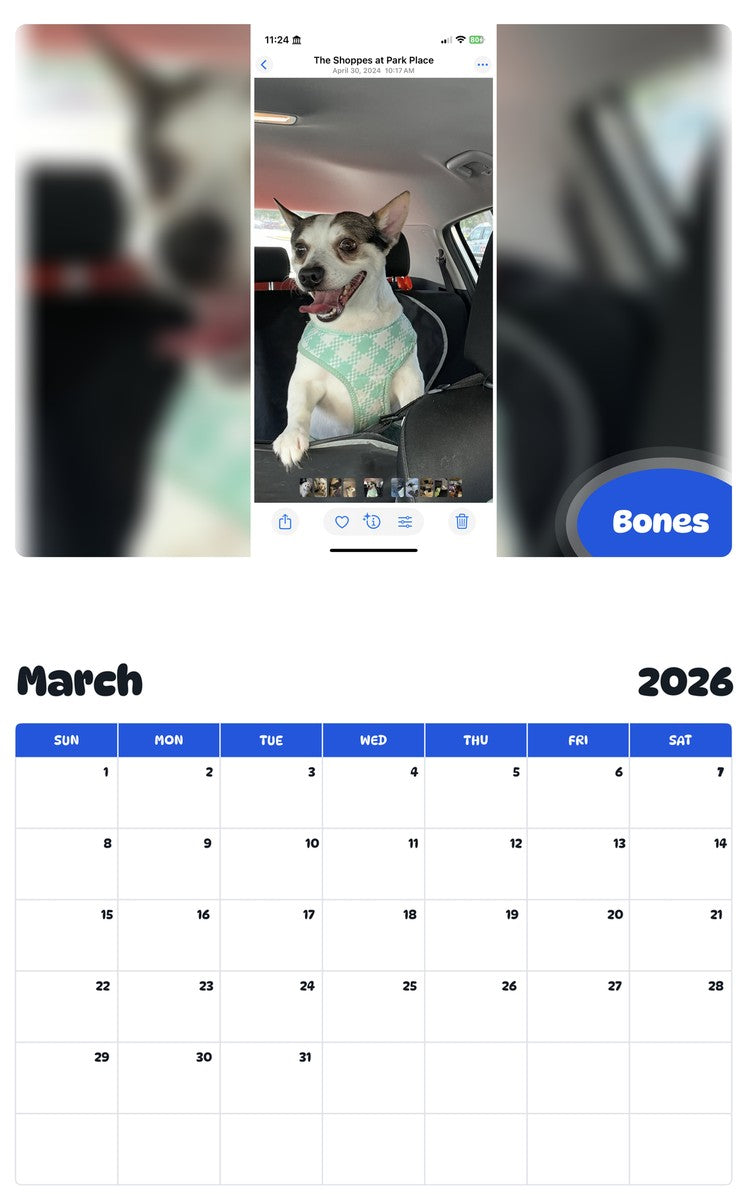 November 2025 - October 2026 Bones - Pawidols Pet Calendar