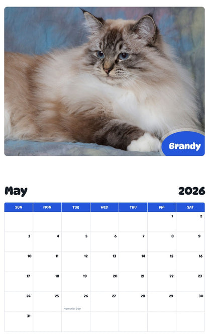 2026 - 2027 Brandy - Pawidols Pet Calendar
