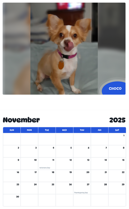 July 2025 - June 2026 Choco - Pawidols Pet Calendar