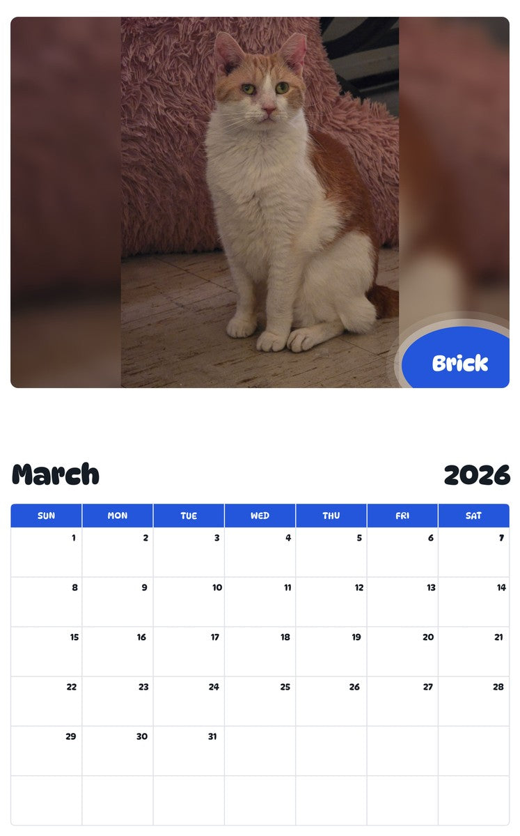 November 2025 - October 2026 Brick - Pawidols Pet Calendar