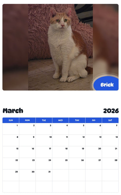 November 2025 - October 2026 Brick - Pawidols Pet Calendar
