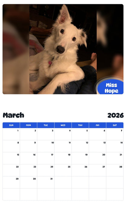November 2025 - October 2026 Miss Hope - Pawidols Pet Calendar