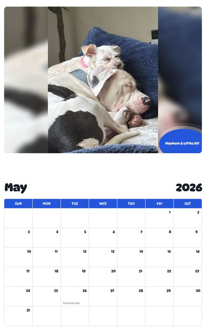 2026 - 2027 Mayhem & Little Bit - Pawidols Pet Calendar