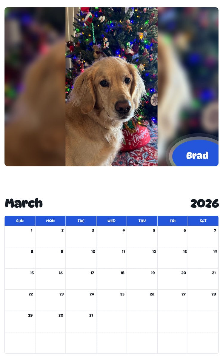 November 2025 - October 2026 Brad - Pawidols Pet Calendar