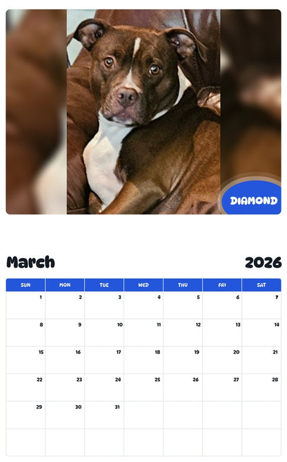 November 2025 - October 2026 DIAMOND - Pawidols Pet Calendar
