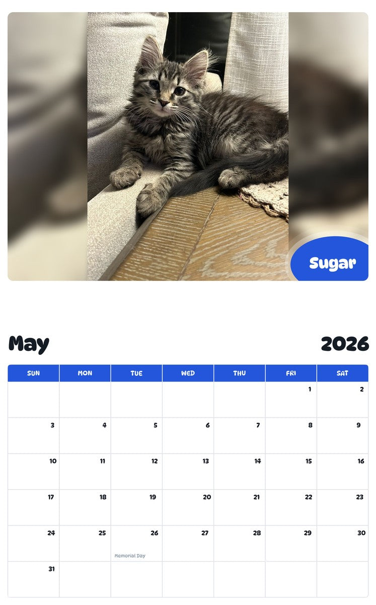 2026 - 2027 Sugar - Pawidols Pet Calendar