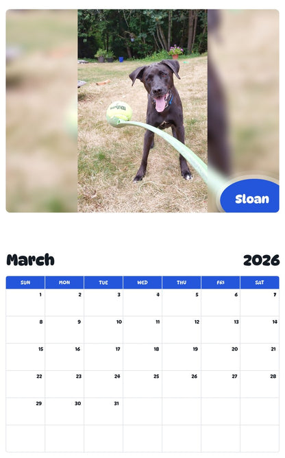 November 2025 - October 2026 Sloan - Pawidols Pet Calendar
