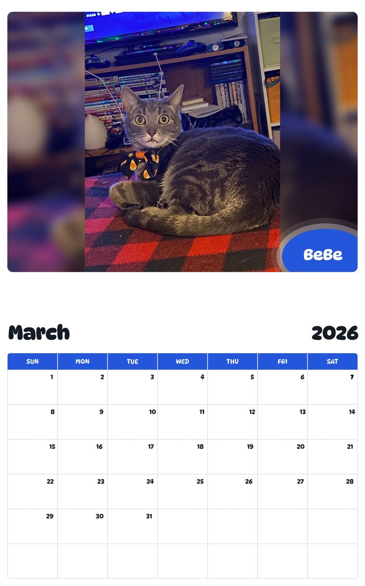 November 2025 - October 2026 BeBe - Pawidols Pet Calendar
