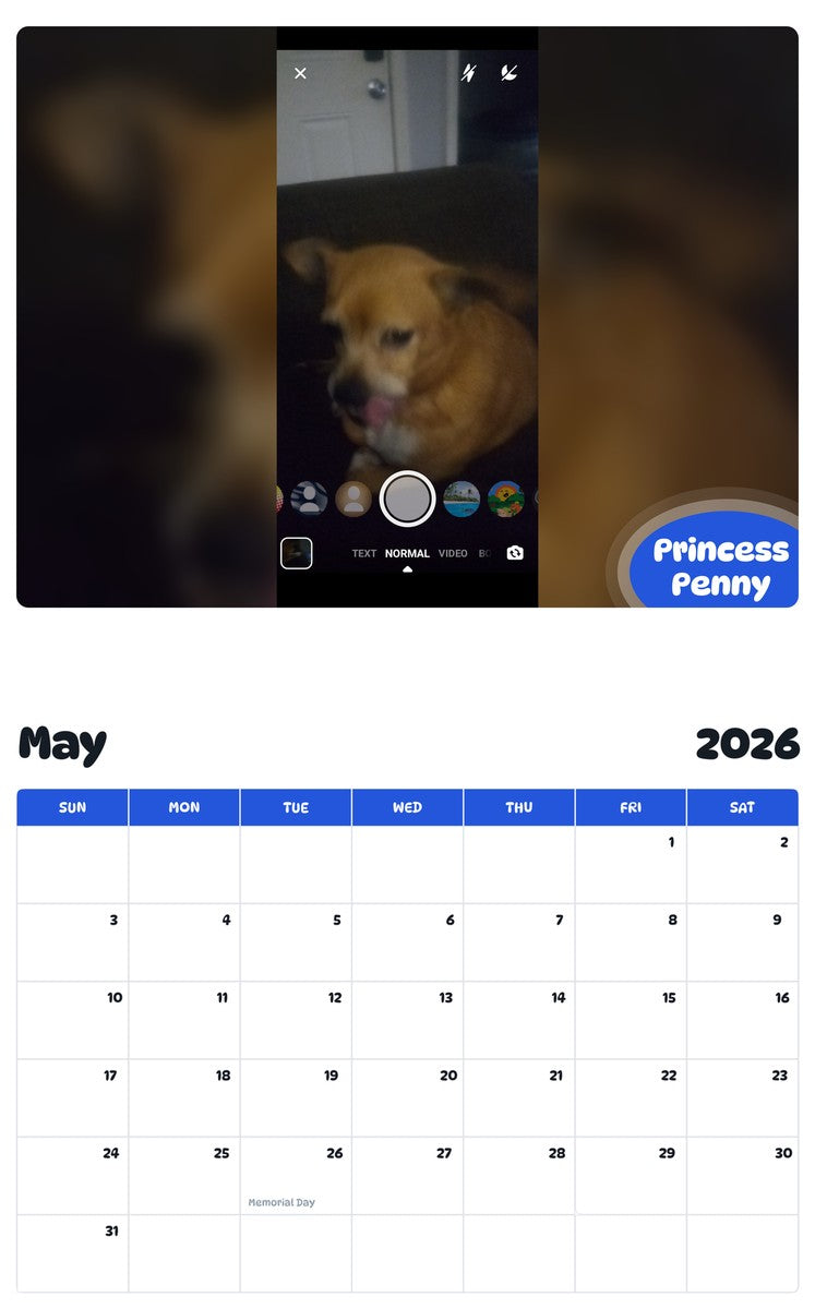 2026 - 2027 Princess Penny - Pawidols Pet Calendar