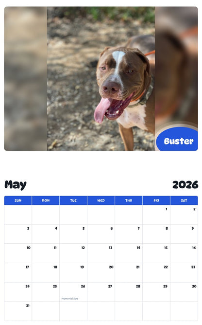 2026 - 2027 Buster - Pawidols Pet Calendar