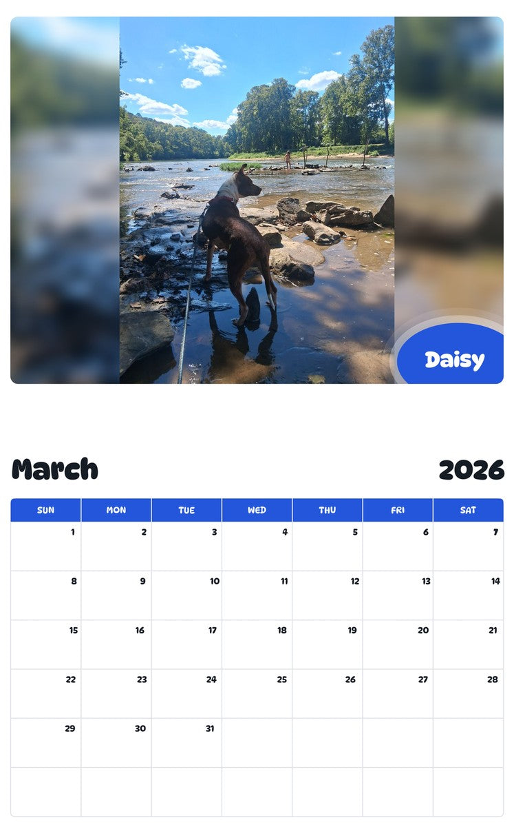 November 2025 - October 2026 Daisy - Pawidols Pet Calendar
