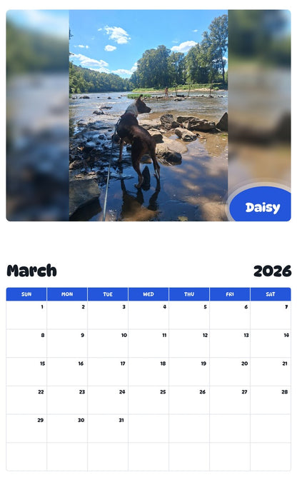 November 2025 - October 2026 Daisy - Pawidols Pet Calendar