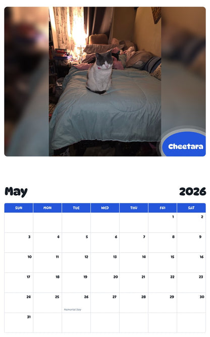 2026 - 2027 Cheetara - Pawidols Pet Calendar