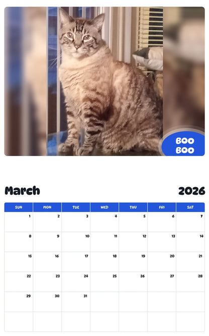 November 2025 - October 2026 BOO BOO - Pawidols Pet Calendar