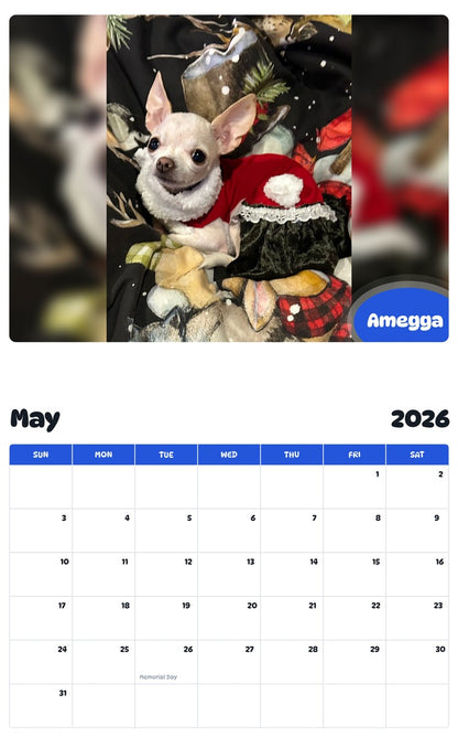 2026 - 2027 Amegga - Pawidols Pet Calendar