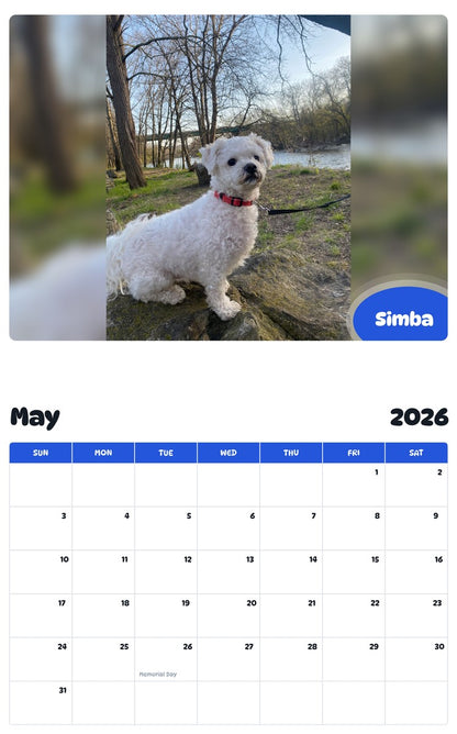 2026 - 2027 Simba - Pawidols Pet Calendar