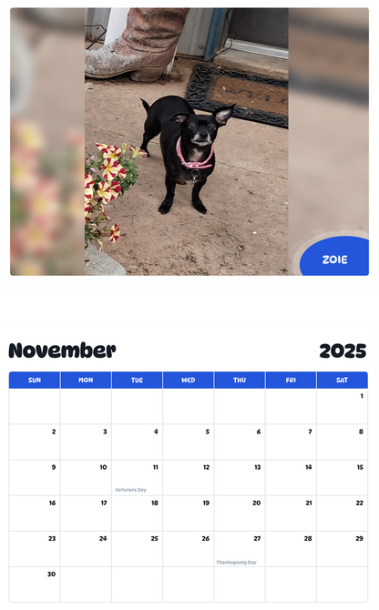 July 2025 - June 2026 Zoie - Pawidols Pet Calendar