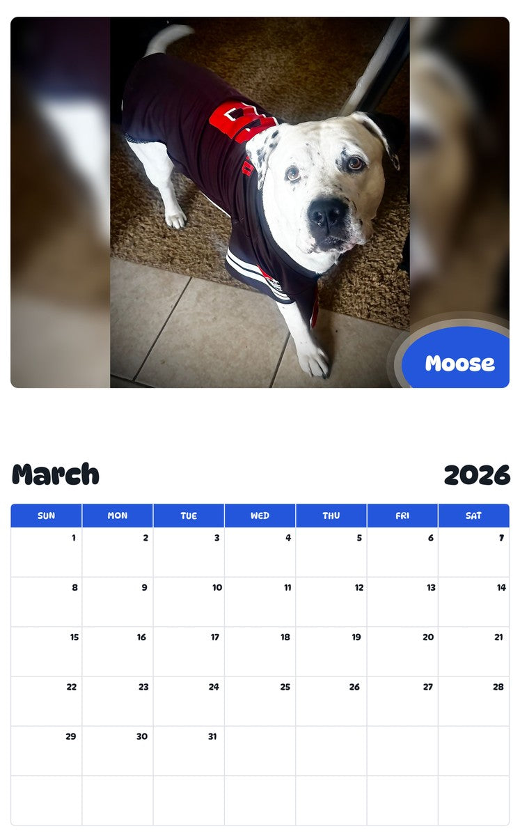 November 2025 - October 2026 Moose - Pawidols Pet Calendar