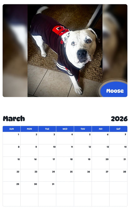 November 2025 - October 2026 Moose - Pawidols Pet Calendar