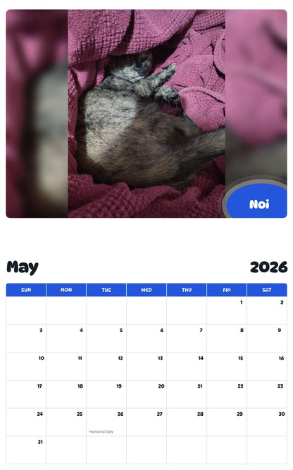 2026 - 2027 Noi - Pawidols Pet Calendar