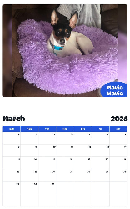 November 2025 - October 2026 Mavie Wavie - Pawidols Pet Calendar