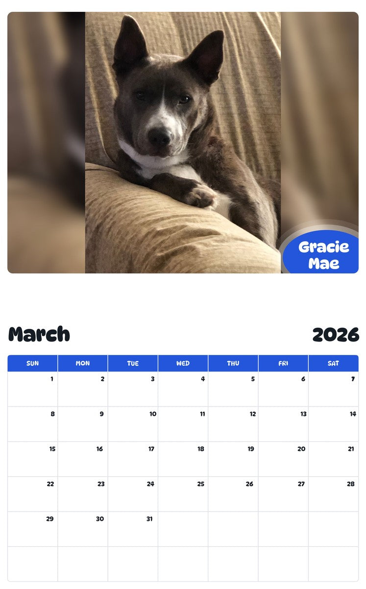 November 2025 - October 2026 Gracie Mae - Pawidols Pet Calendar