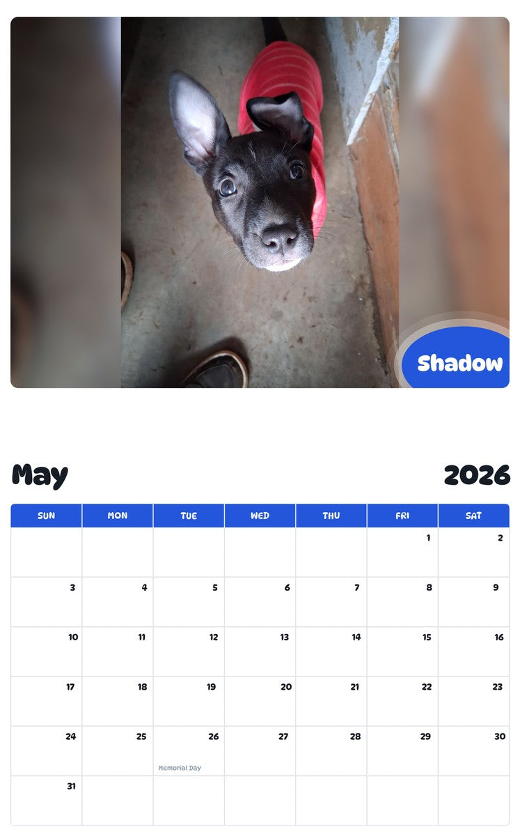 2026 - 2027 Shadow - Pawidols Pet Calendar