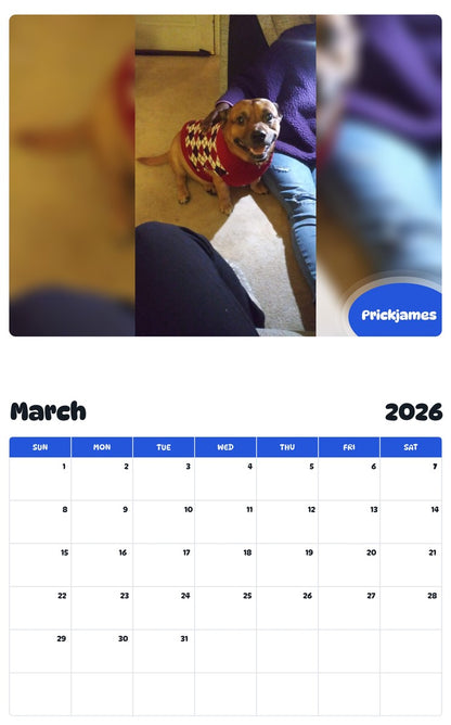 November 2025 - October 2026 Prickjames - Pawidols Pet Calendar