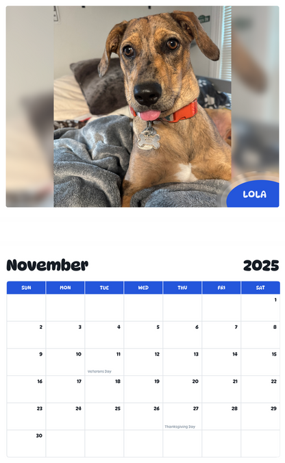 July 2025 - June 2026 Lola - Pawidols Pet Calendar