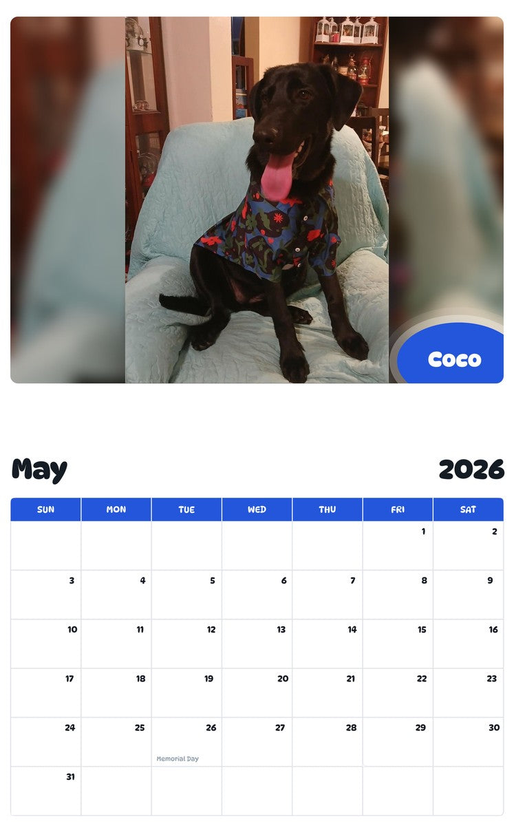 2026 - 2027 Coco - Pawidols Pet Calendar