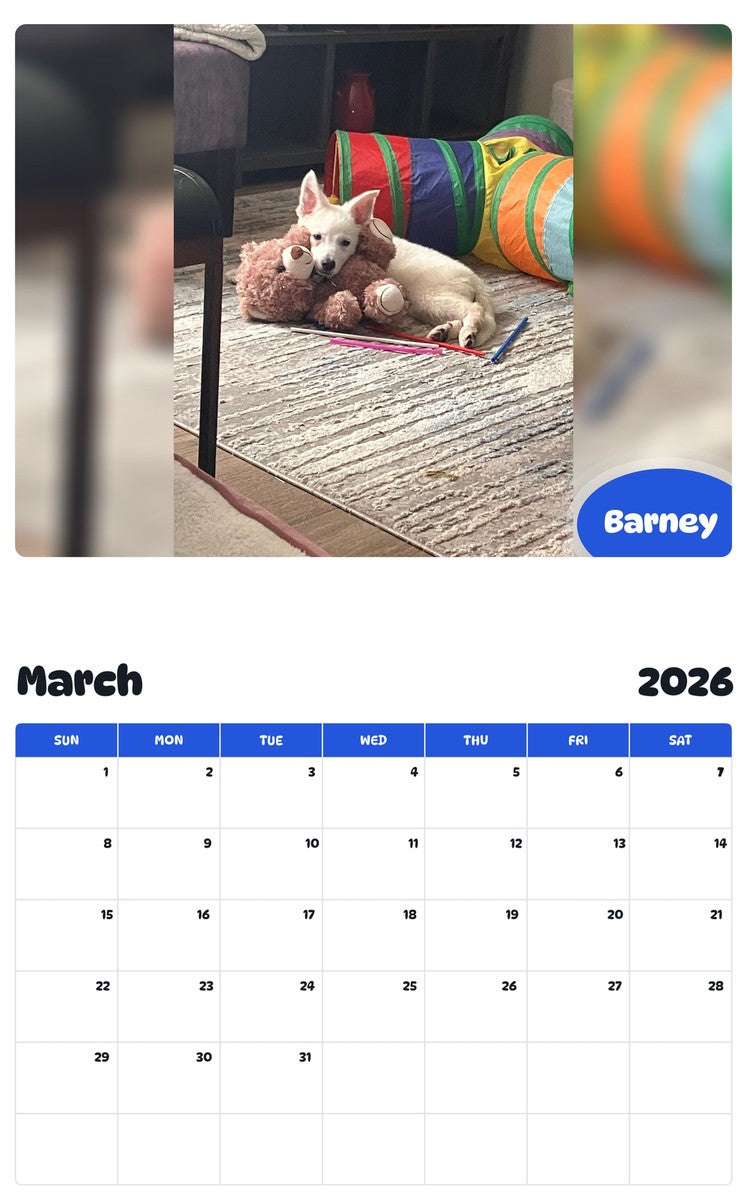 November 2025 - October 2026 Barney - Pawidols Pet Calendar