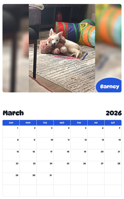 November 2025 - October 2026 Barney - Pawidols Pet Calendar