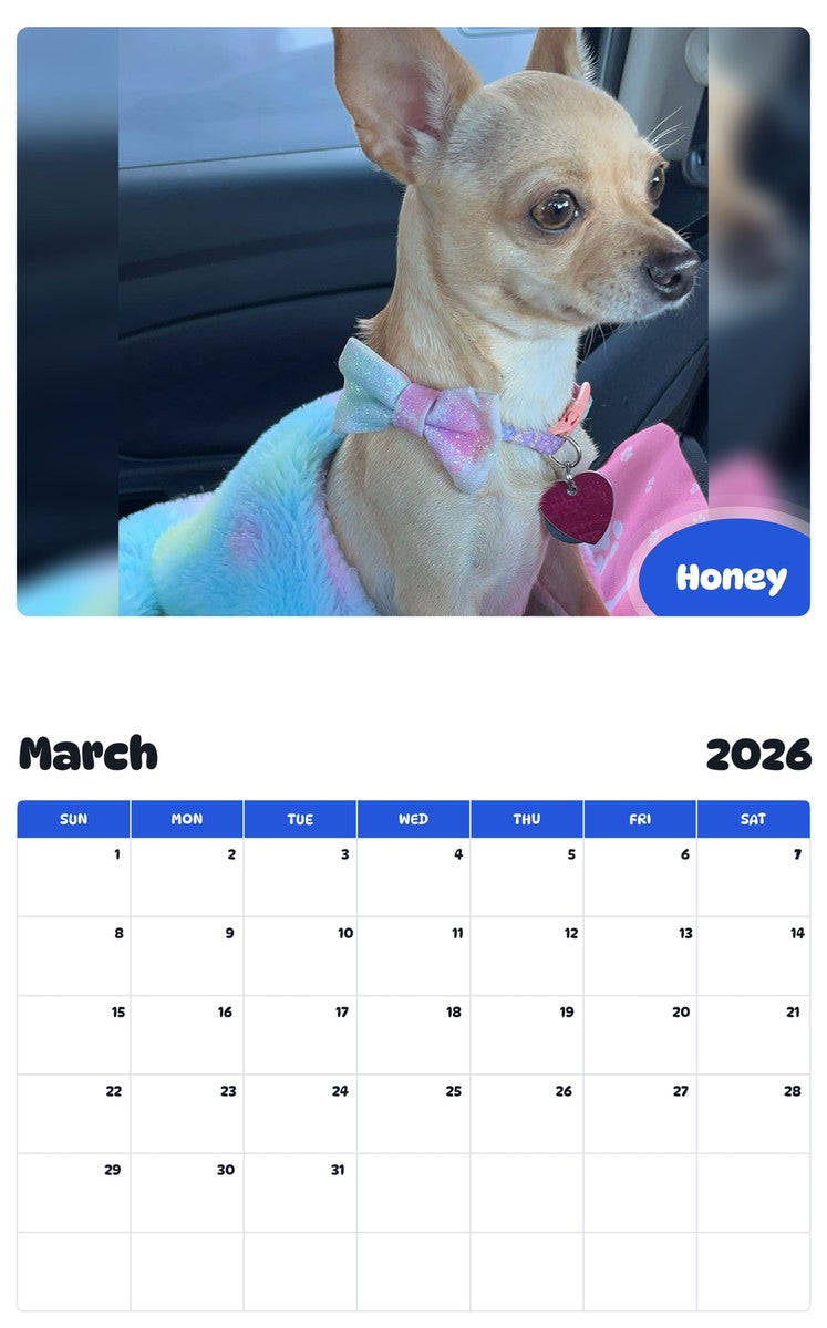 November 2025 - October 2026 Honey - Pawidols Pet Calendar