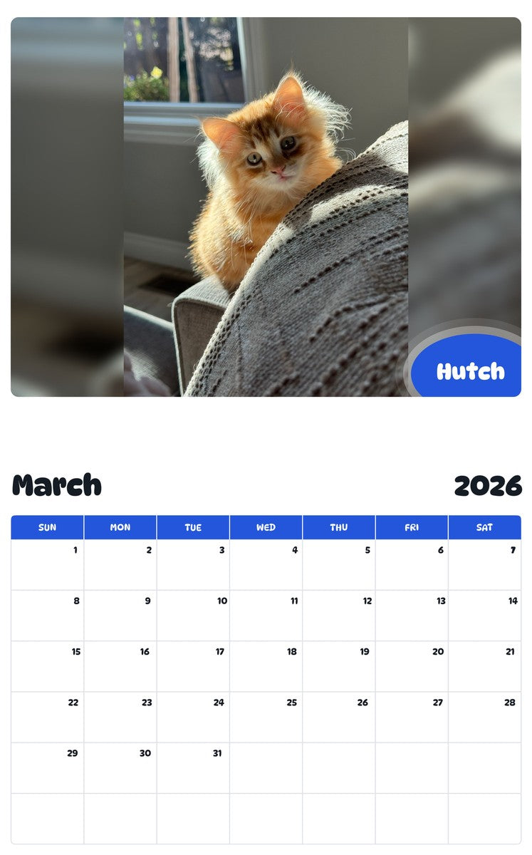 November 2025 - October 2026 Hutch - Pawidols Pet Calendar