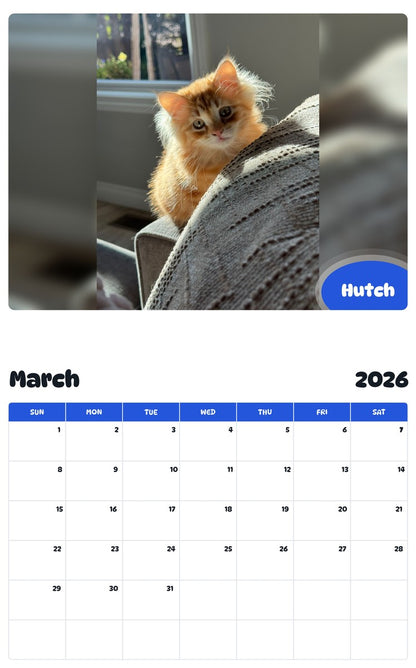 November 2025 - October 2026 Hutch - Pawidols Pet Calendar