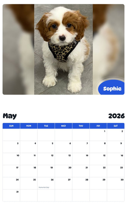 2026 - 2027 Sophie - Pawidols Pet Calendar